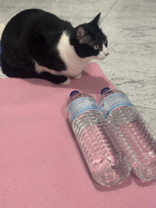 2/3 da semana 🙌🏻