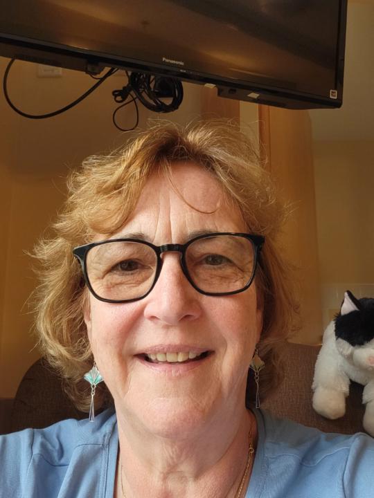 Anne E Peters