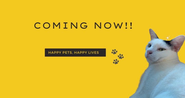 PetzoolutionHappyPetHappyLives