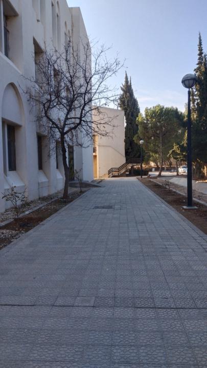 مجد الطراونة
