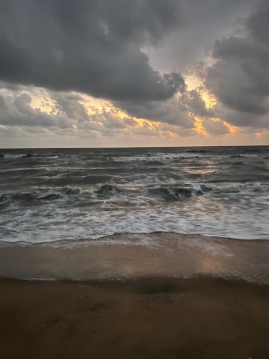 Rameesha M. Parambil