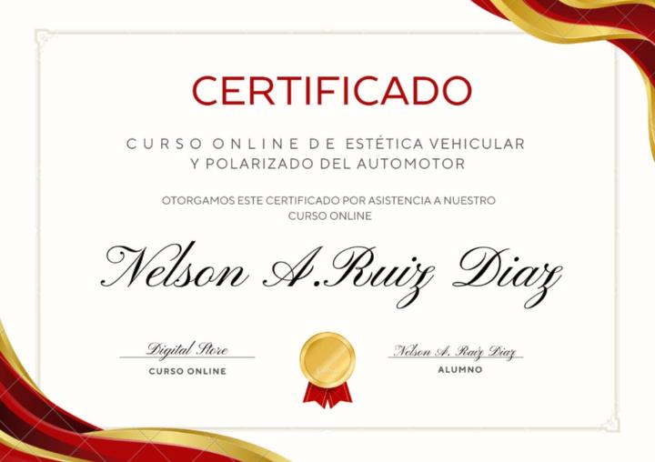 Nelson andres ruiz Diaz