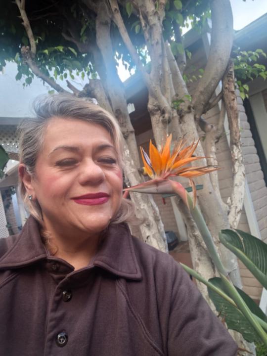 Mirnita Matus