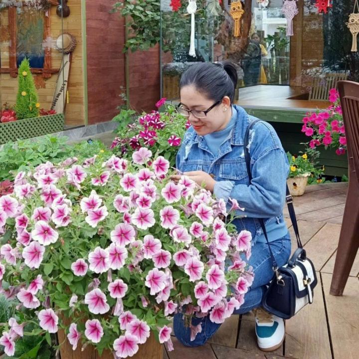 Quỳnh anh Nguyễn
