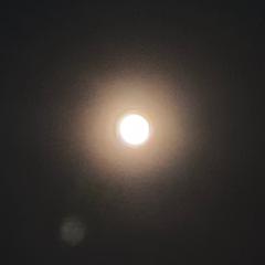 Shah Indra Bin Nasir