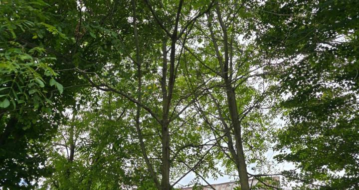 IT'S OK JUST BREATHE WITH ME