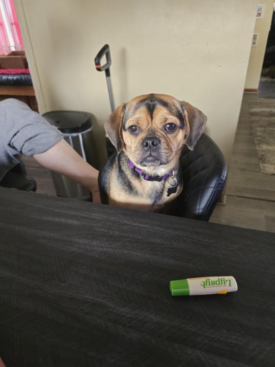 I made this new category 