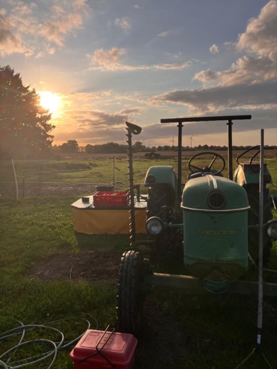 Fin Maximilian Stobbe