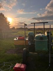 Fin Maximilian Stobbe