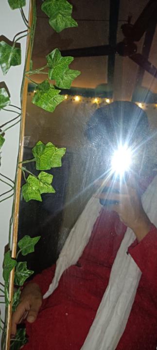 Vikrant Singh Thakur