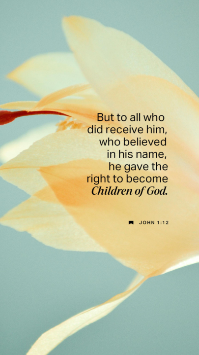 Verse of the Day 📖