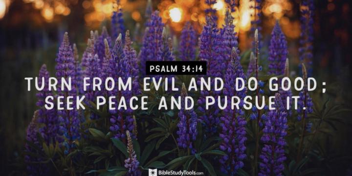 Verse of the Day 📖