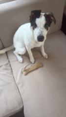 Милена Минева