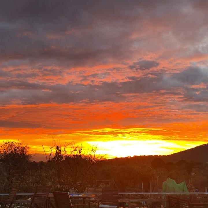 Michelle Louise Green