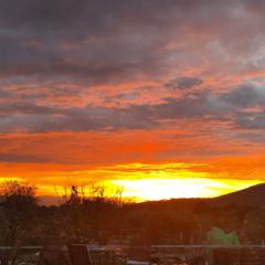 Michelle Louise Green