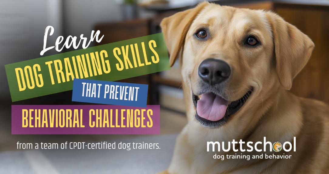 MuttSkool