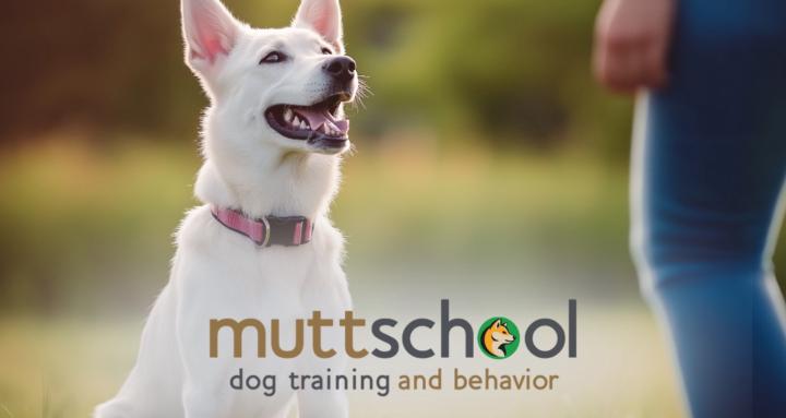 MuttSkool