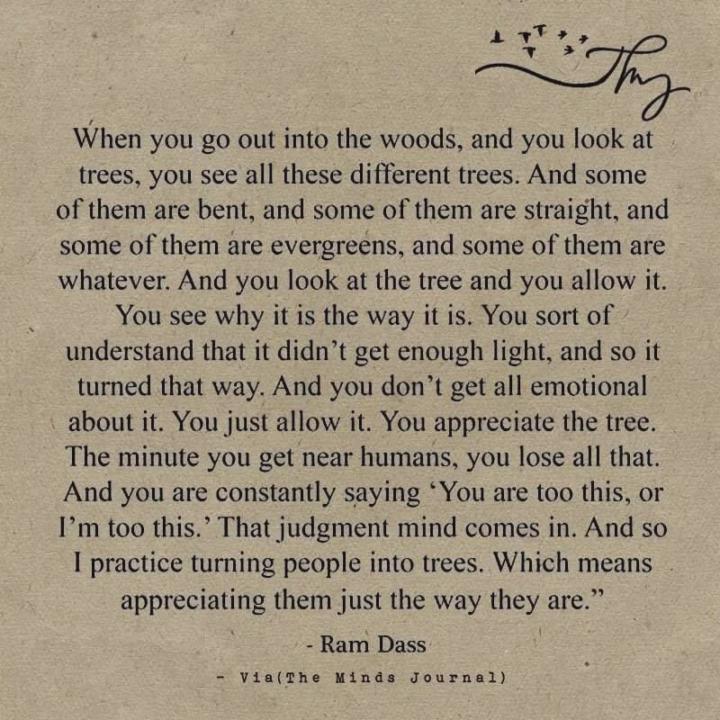 Acceptance 💞