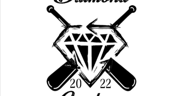 SD Diamond Academy