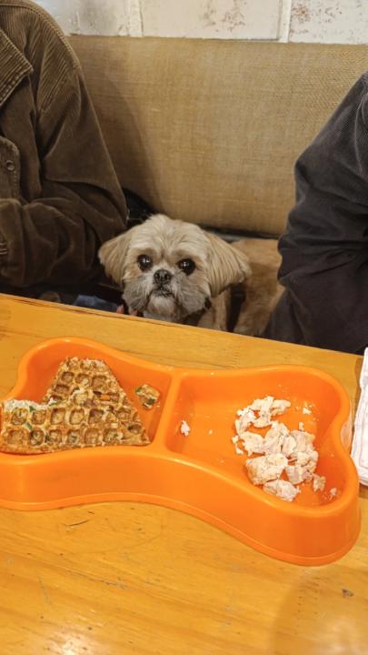 Eduardo Montañez Ramirez