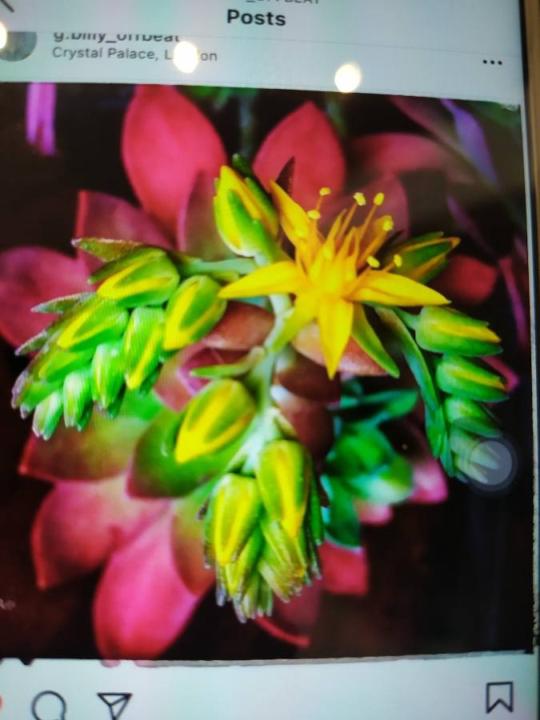 Cristina Gutierrez Alvarez