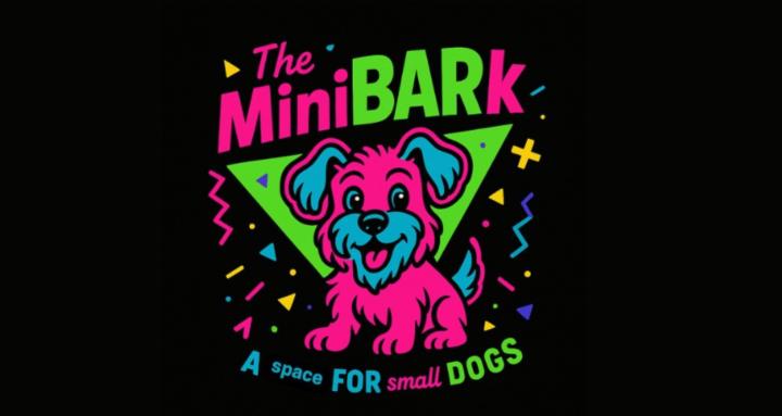 The MiniBARk