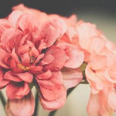 Sthavyashri Chaithanya