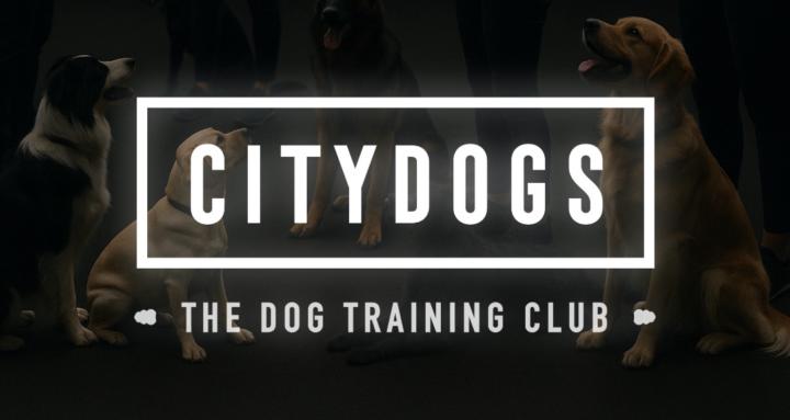 Citydogs - Training Club