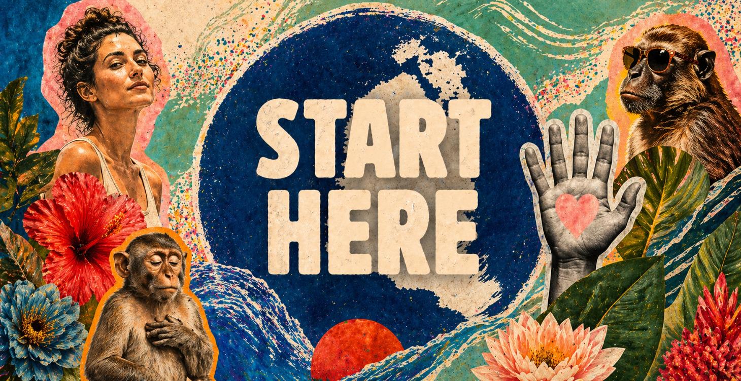 ❤️‍🔥🐒❤️‍🔥 Start Here 🌈😎🌟🦄