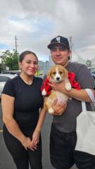 Dennis Rojas