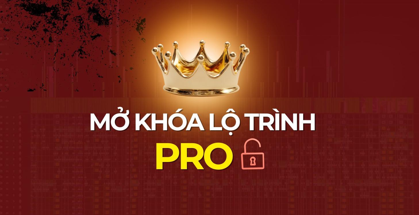 Mở Khóa Lộ Trình PRO