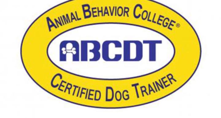Z Dog Training Academy