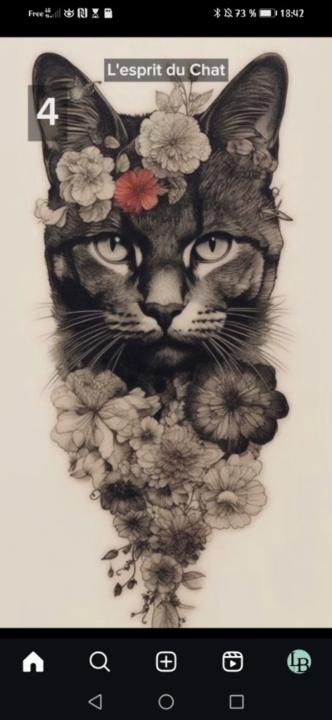 Delphine Amand