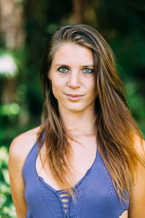 Phenix Rose