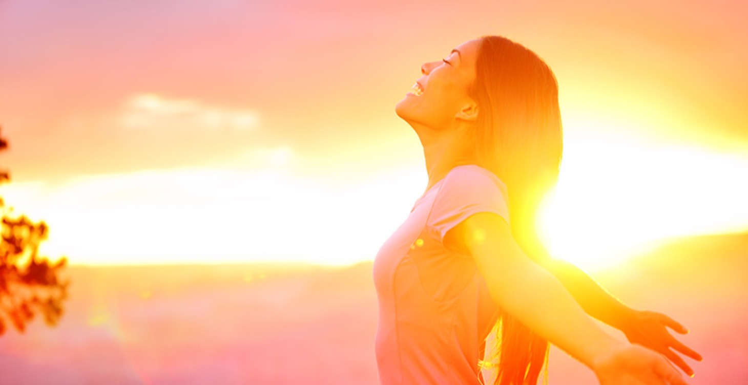 LIFESTYLE HABIT CREATOR
