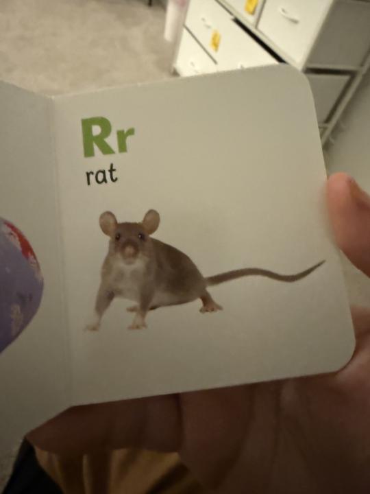 Gotta teach em young