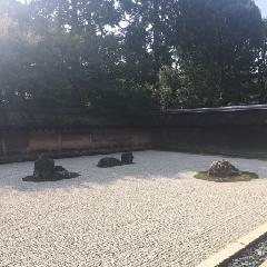 Jonas Møller Pedersen