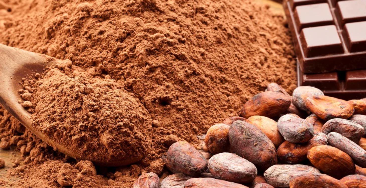 The beginning of Chocolate 🍫