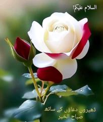 Hina Qasim