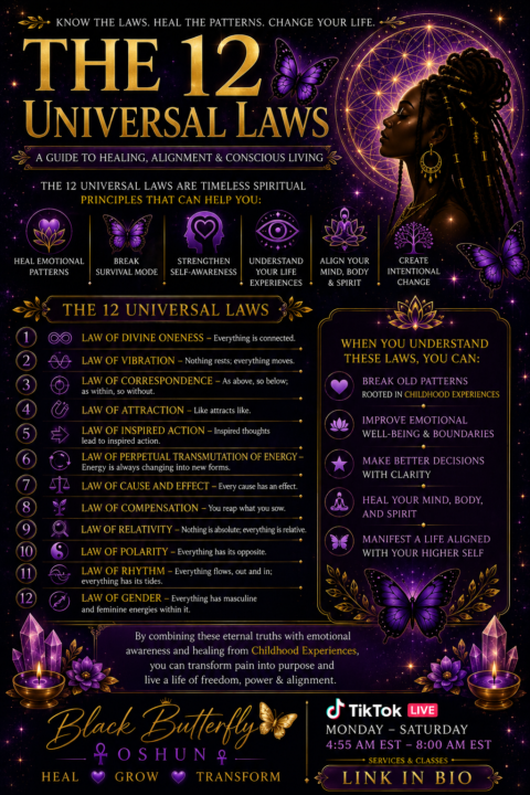 12 universal laws
