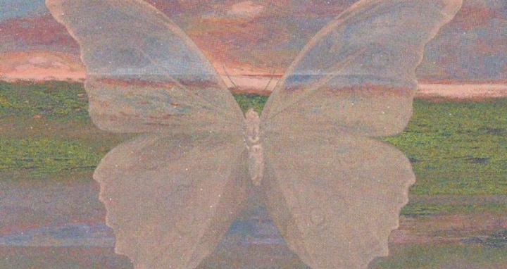 The Metamorphosis Collective