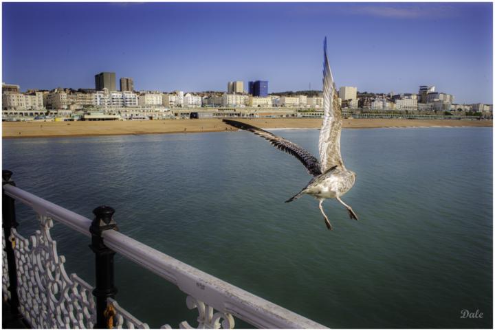 Brighton Pier 