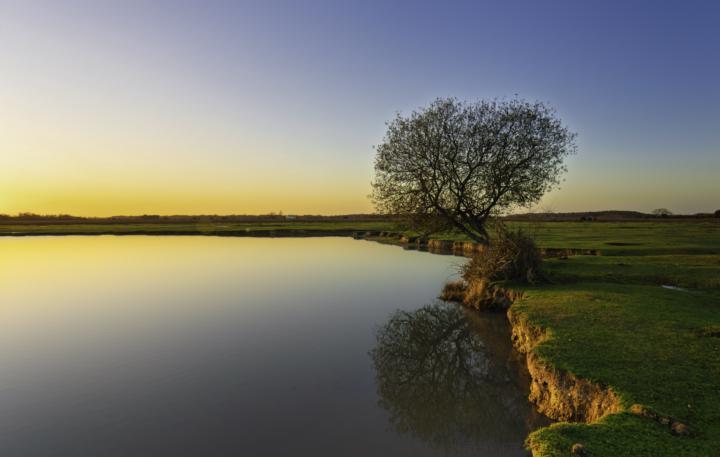 "Big Puddle" New Forest UK