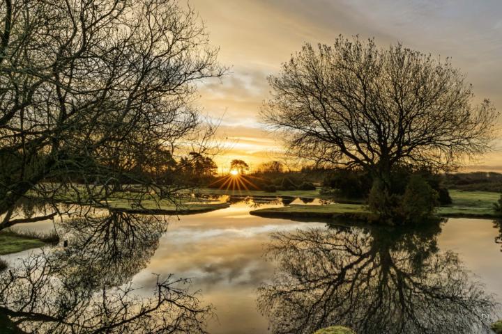 New Forest UK Dec 2025