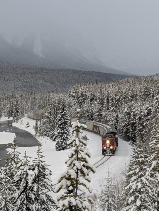 Magical Christmas Wonderland