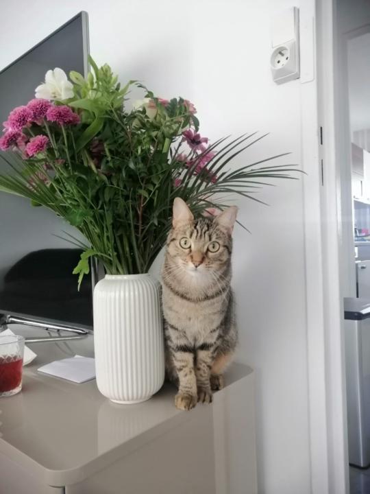 Yilmaz Zeyneb