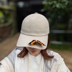 Misa Toshiyuki