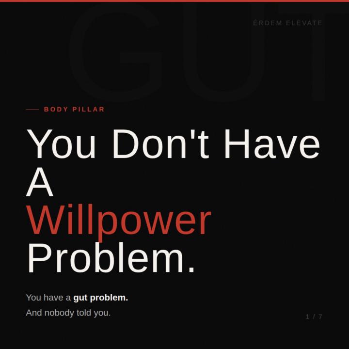 Your Gut health is stalling you 