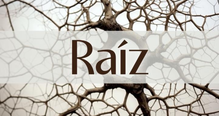 Raíz