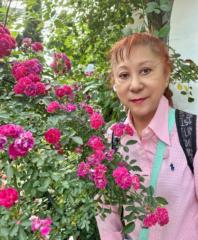Cheng Hoi Chiew